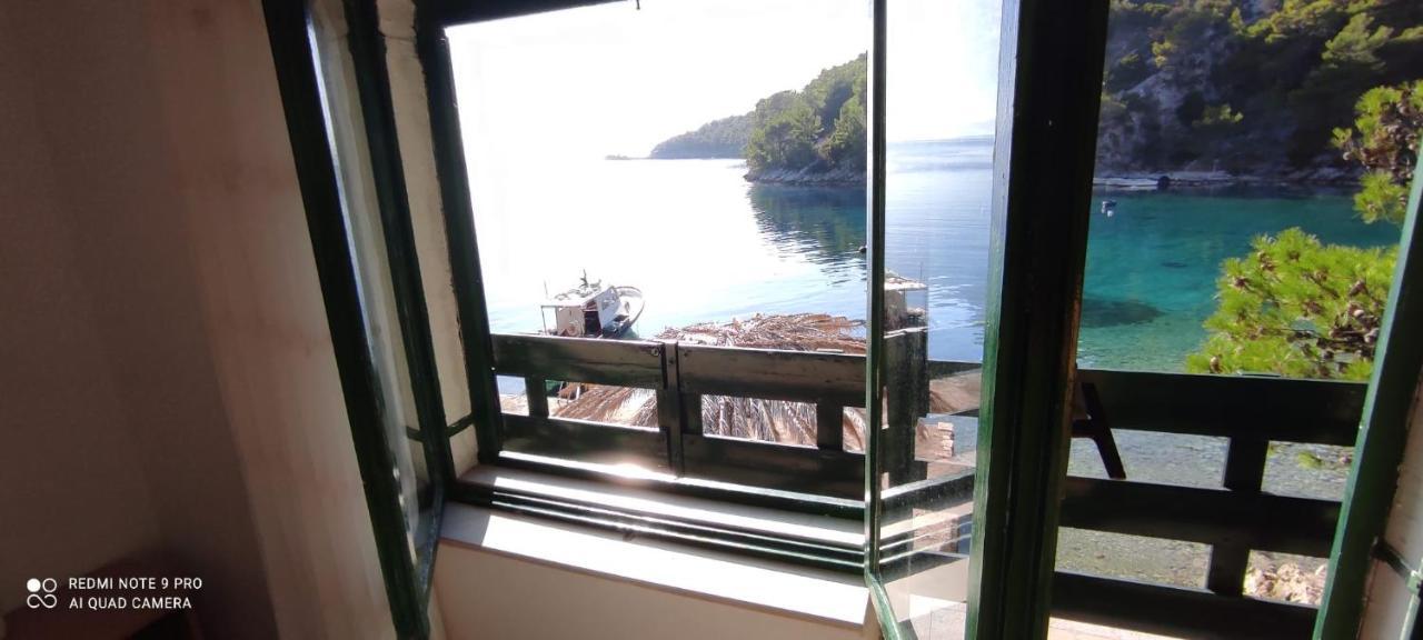 House On The Sea Mili *