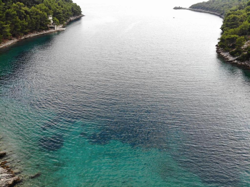 Apartmán House On The Sea Mili